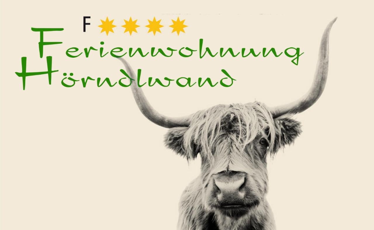 Ferienwohnung Hoerndlwand 鲁波尔丁 外观 照片